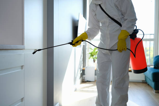 Home Mold Removal in Highland, UT